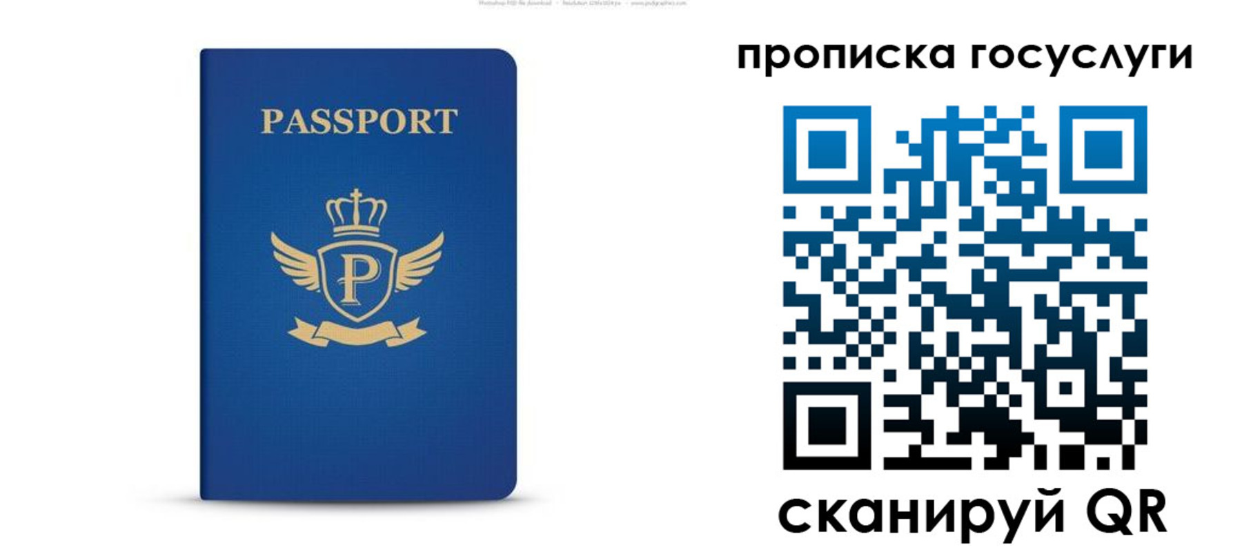 прописка для школы в Новомичуринске